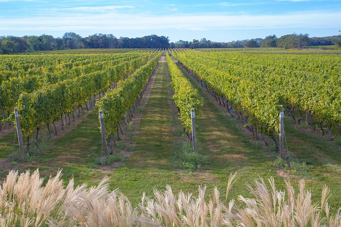 The Hamptons and Long Island Wineries Private Tour - Location: Long Island