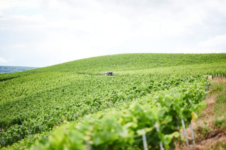 The Heart of the Champagne Region - Key Points