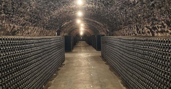 The Heart of the Champagne Region - Practical Travel Tips