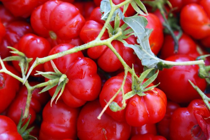 The Hidden Artisans of Crete - Unveiling Cretes Hidden Artistry