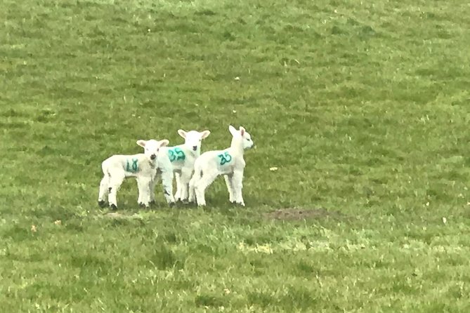 The Hidden Nature Trail to Tittesworth Reservoir and Beyond - Tour Details and Inclusions