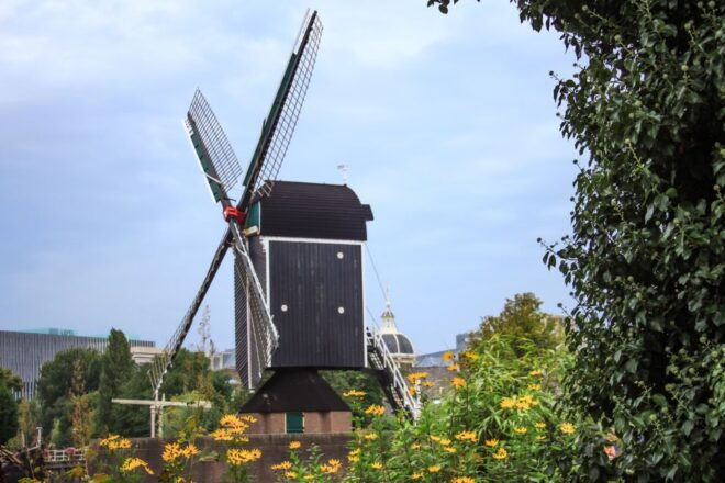 The Hidden Stories of Leiden - Self-Guided Audio Tour - Location and Details About Leiden