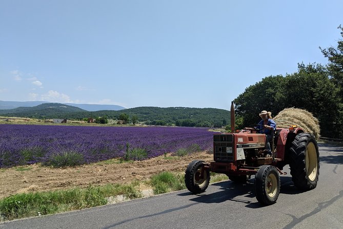 The Hilltop Villages of the Luberon - Local Cuisine and Food Markets