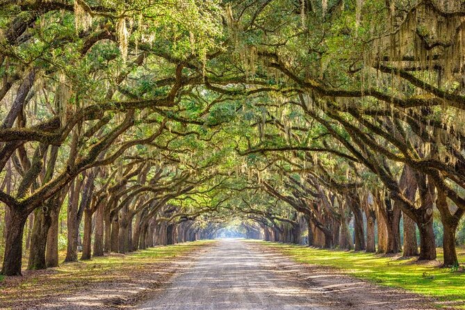 The History Buff Downtown Savannah Walking Tour - Common Questions