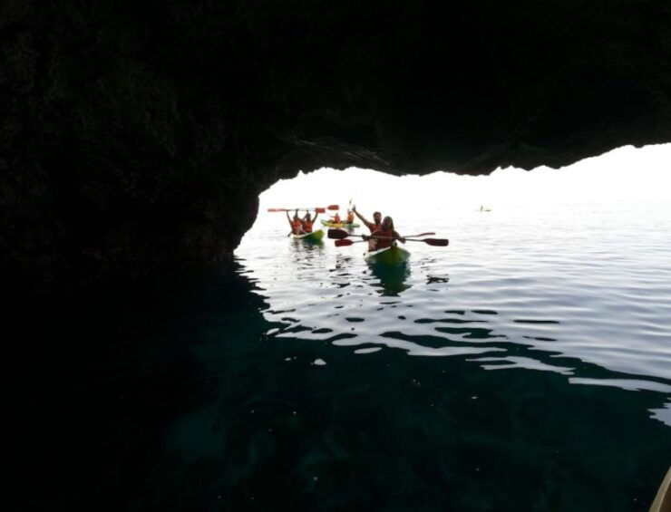 The Horseshoe: Guided Kayak Tour and Snorkel Excursion - Experience