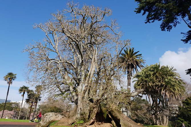 The Hunt for the Missing Monarch - An Auckland Adventure - Pricing and Booking Details