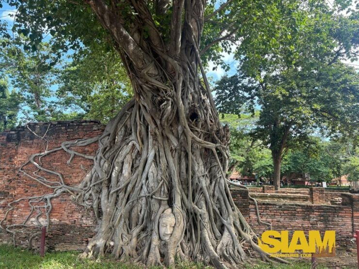 The Incredible Ayutthaya Ancient Temple Tour : From Bangkok - Inclusion and Exclusion