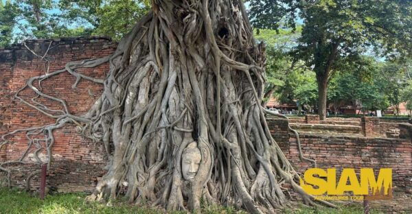The Incredible Ayutthaya Ancient Temple Tour : From Bangkok - Questions You May Have