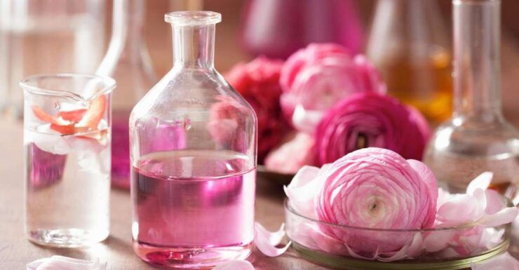 The Jewels of Provence - Explore Grasse: Perfumery Capital