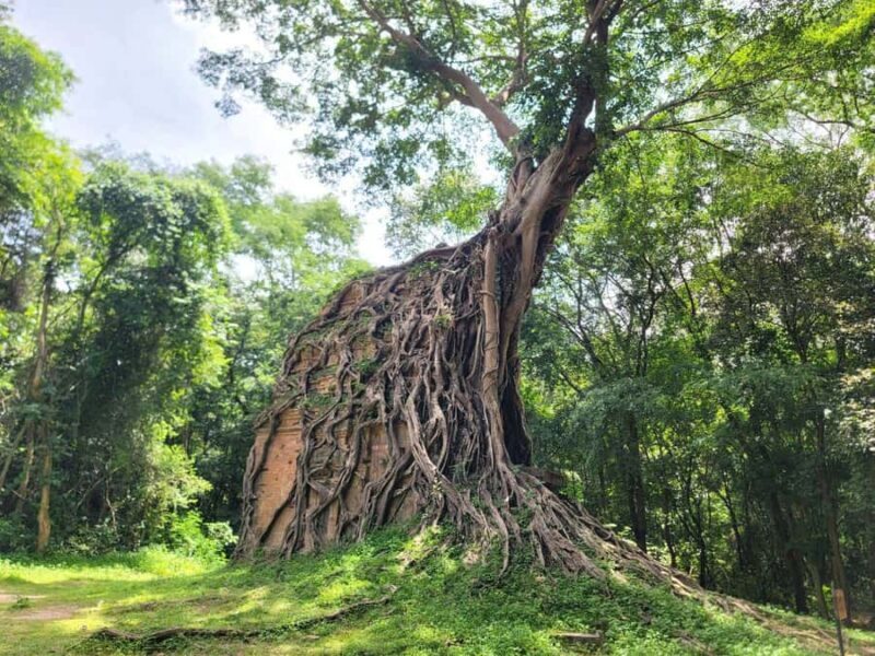 The Journey from Siem Reap to Kratie: Visit Sambo Prei Kuk - An In-Depth Look at the Experience