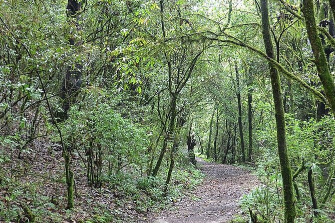 The Joy of Rafting in Trishuli River - Day Tour - The Sum Up