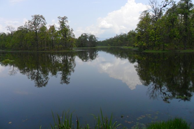 The Jungle Adventure - Getting Ready for the Trip