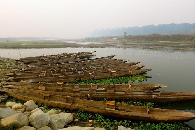 The Jungle Adventure - Unforgettable Jungle Activities