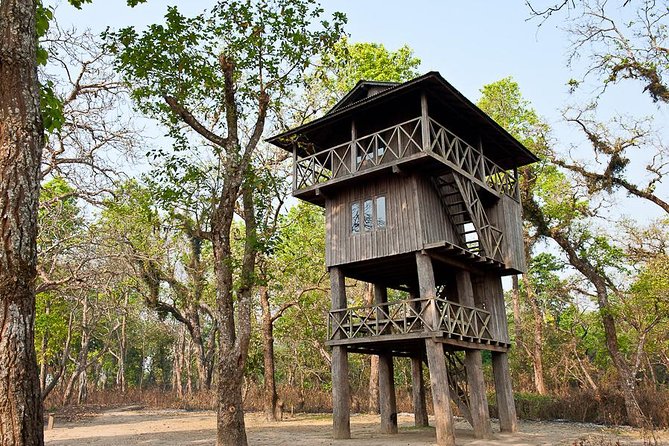 The Jungle Adventure - Relaxation and Indulgence in Nature