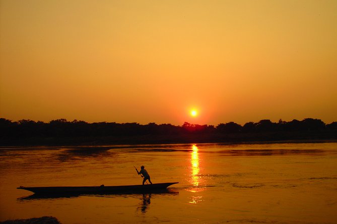 The Jungle Adventure - Tips and Tricks for a Successful Adventure