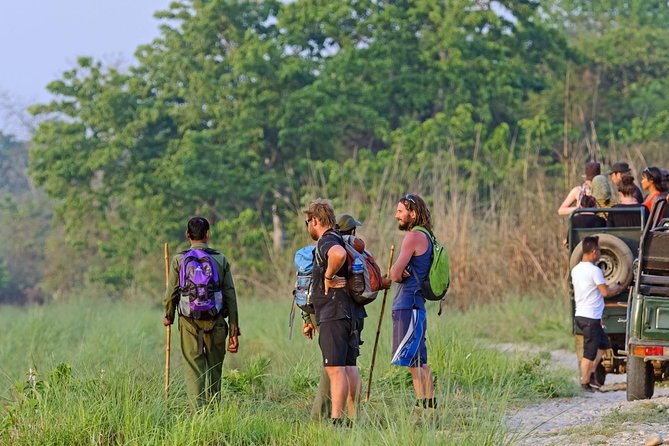 The Jungle Adventure - Common Questions