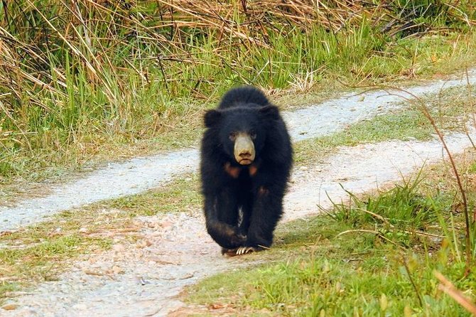 The Jungle Adventure - Cancellation Policy