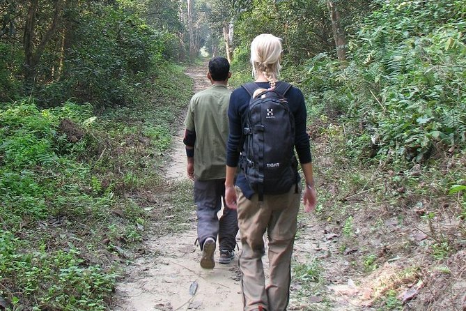 The Jungle Adventure - Reviews and Ratings