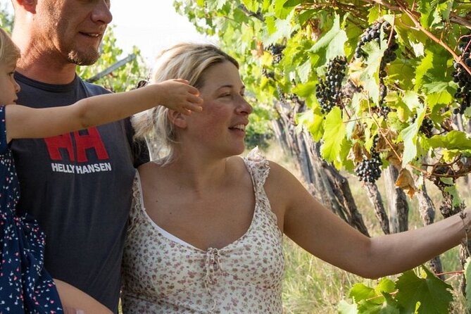The Karst Cuisine Week & Skocjan Caves - Schedule and Additional Info