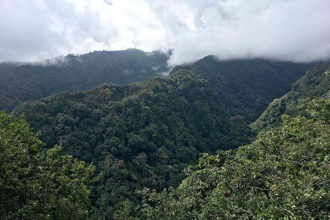 The Kings Levada - Levada Do Rei - Overview and Route