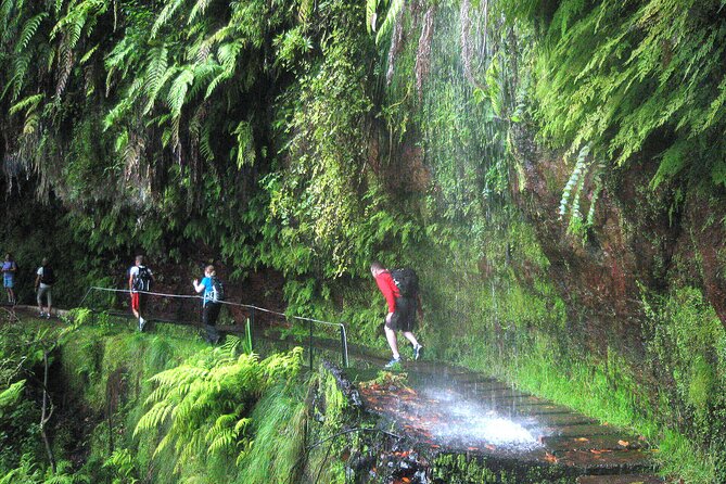 The Kings Levada - Levada Do Rei - Pickup Points and Start Time
