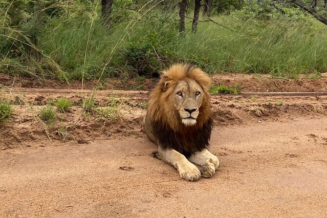 The Kruger National Park - Full Day Tour - Common Questions