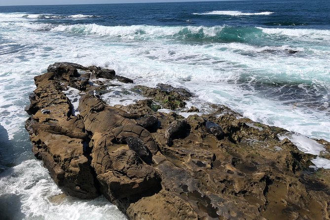 The La Jolla Tour - Reviews