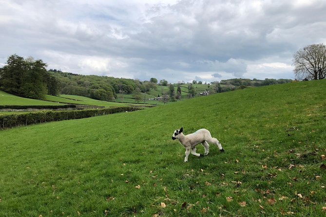 The Lake District Tour From Liverpool - Traveler Photos