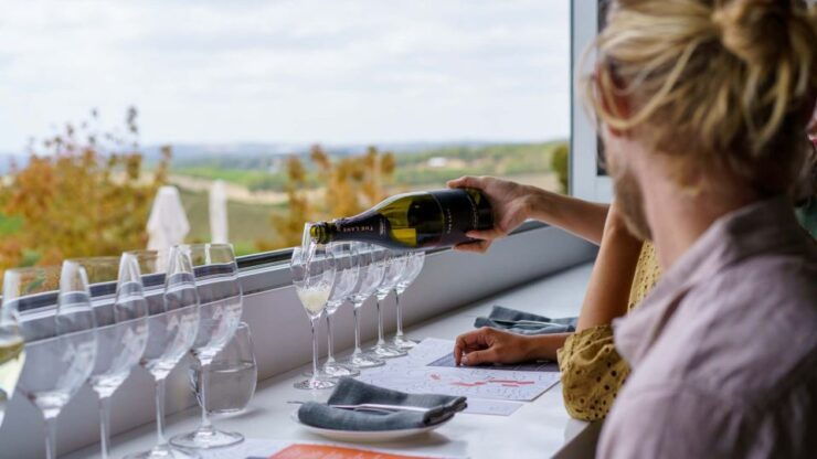 The Lane Vineyard: Gathering Experience - Experience Details