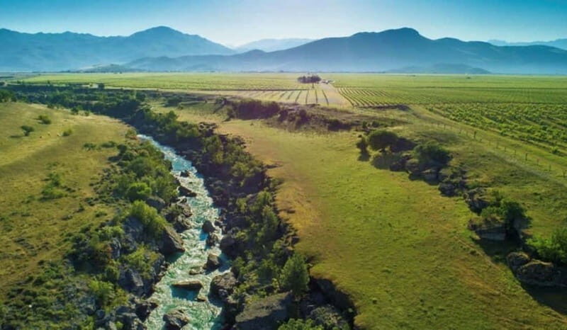 The largest winery in Montenegro: private tour & transport - A Closer Look at the Tour Experience