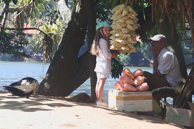 The Last Kingdom Private Day Tour in Kandy - Cancellation Policy