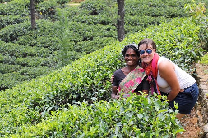 The Last Kingdom Private Day Tour in Kandy - Cancellation Policy