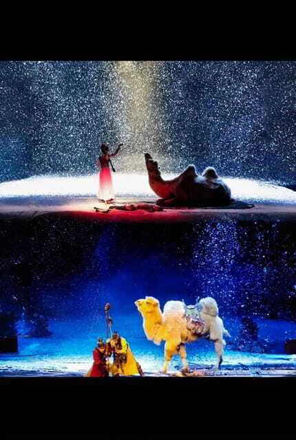 The Legend Of Camel Bell In XiAn - Who Will Love This Tour?