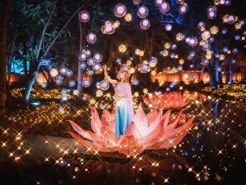 The Lens: Once-a-Year Moment at Na Satta Park Light Festival - Pricing and Value