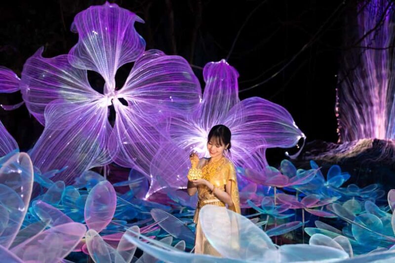 The Lens: Once-a-Year Moment at Na Satta Park Light Festival - FAQ