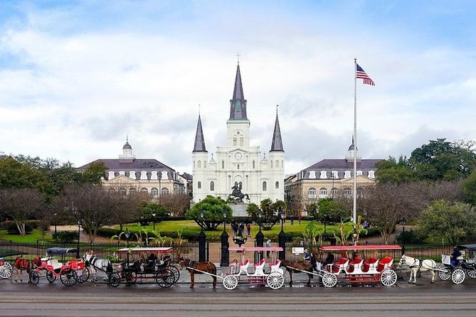 The Life Nola! Private Tour of New Orleans With a Native Guide - Customizable Itinerary