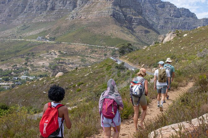 The Lion Trail - The Sum Up