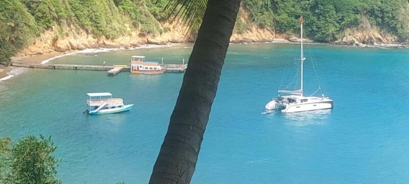 The Little Tobago Tour - Good To Know