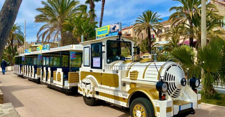The Little Train of Lavandou's Beaches - Experience Details