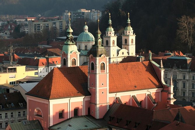 The Ljubljanas Cathedral Tour (St. Nicolas Church) - Good To Know