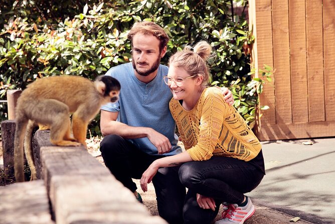 The London Pass: Unlimited Access to 90 Top Attractions - Go Citys Apologies and Promises