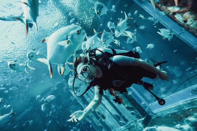 The Lost Chamber Atlantis Dubai on Sharing Transfer - Medical Considerations