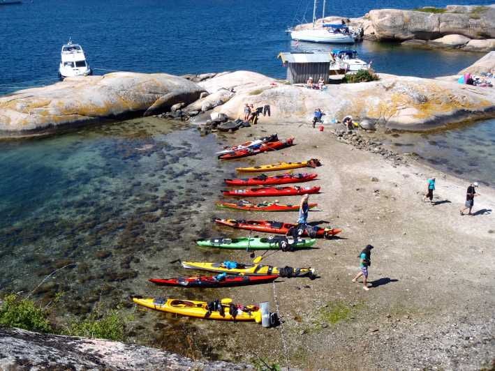 The lunch trip sea kayak tour - Good To Know
