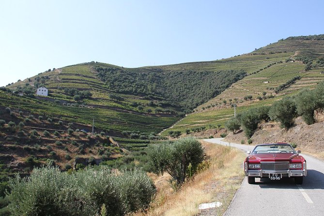 The Luxury Douro Tour - Contact and Legal Information