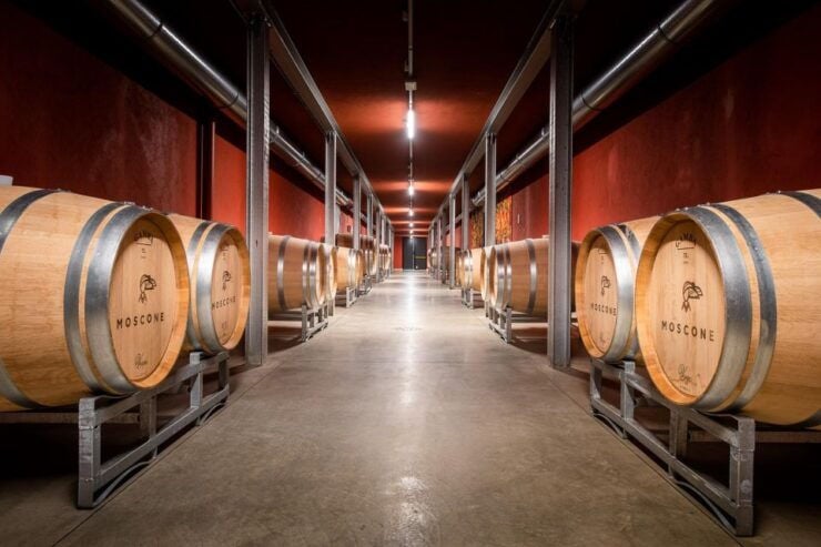 The Madama: Wine Tasting in La Morra - Language and Accessibility