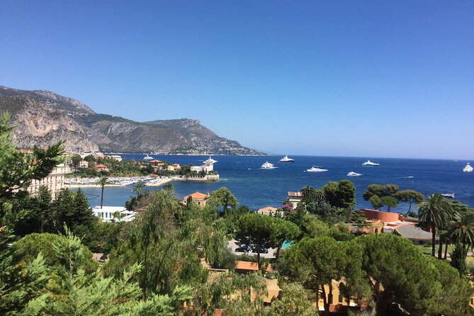 The Magic of French Riviera - Gastronomic Delights