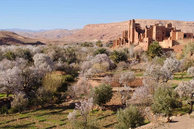 The Magical Experience of Erg Chebbi - Background