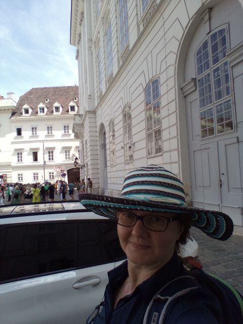 The Magical Vienna's Downtown in Two Hours - Booking and Tour Details