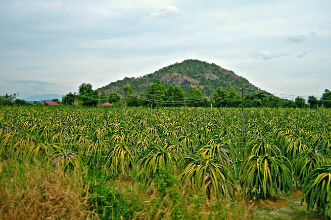 The Magnificence of the Ta Ku Mountain - Lunch at a Local Restaurant
