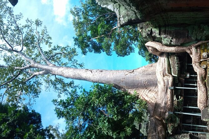 The Magnificent Angkor Wat - Must-See Temples